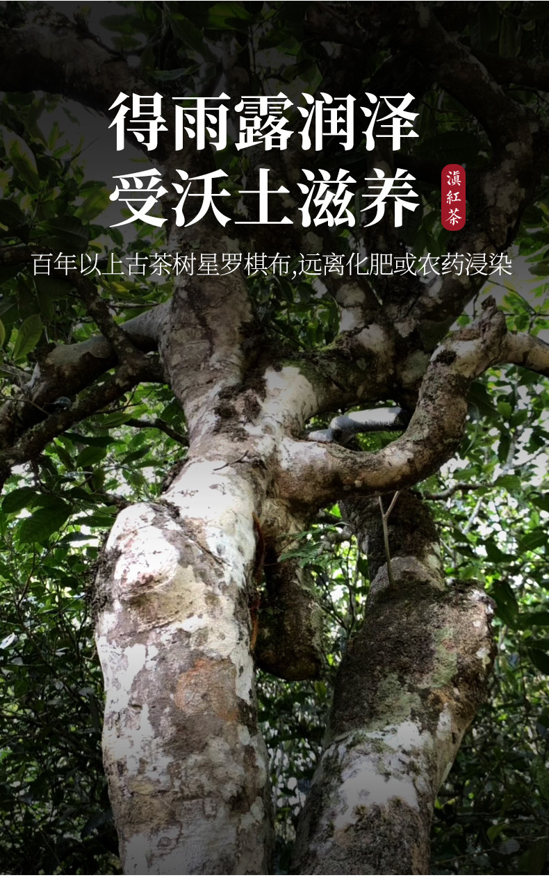 Shaoguang Details_03.jpg
