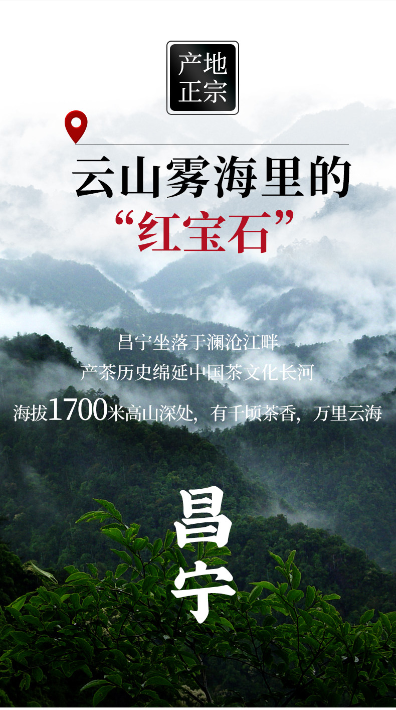 Shaoguang Details_02.jpg