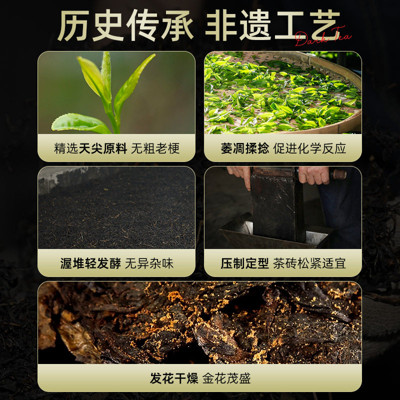 安化黑茶：神秘的健康守护者，功效大揭秘-黑茶-淘宝百科网