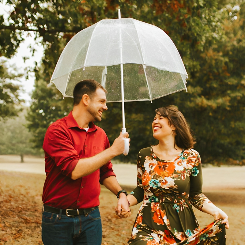 Birdcage Umbrella, Transparent Umbrella, Long-Handled Mushroom-Shaped Arched Umbrella, American Drama Gossip Girl, Internet Celebrity Bubble Transparent Umbrella