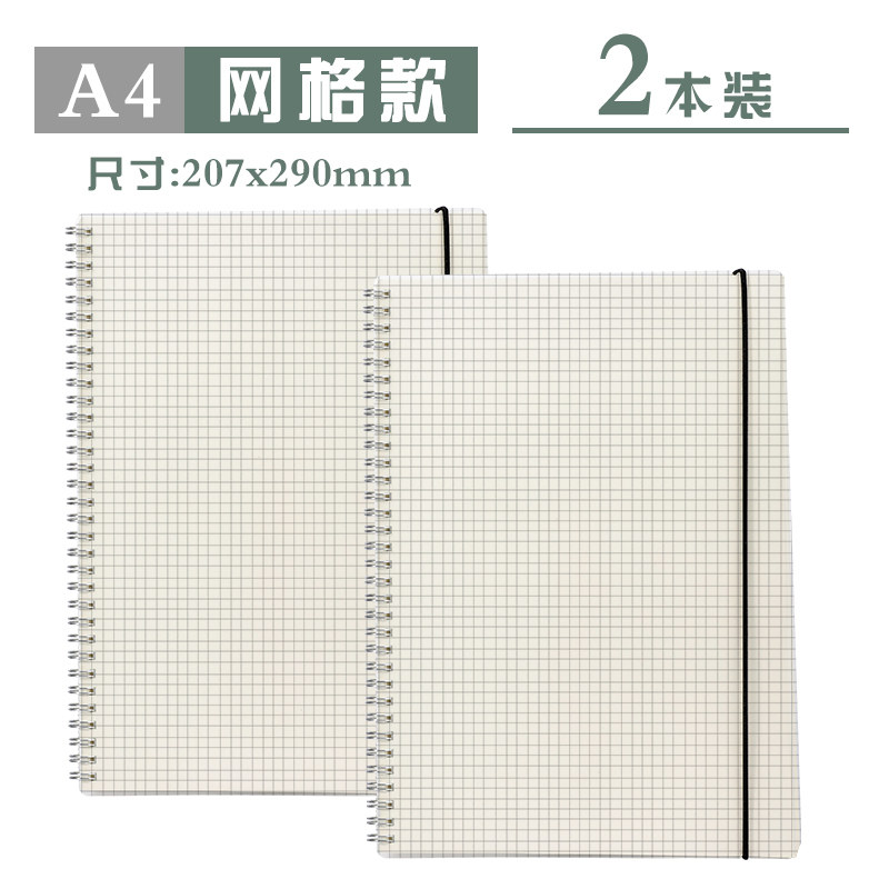 A4 в клетку (очень большой) 2 книги