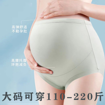 Femme enceinte Haute taille inférieure Modale big code mince section réglable waist femme enceinte mi-temps triangulaire shorts triangulaire 220 cattés