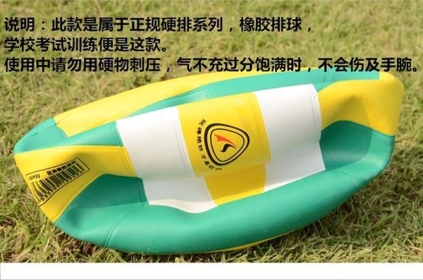 Ballon de volley - Ref 2012133 Image 4