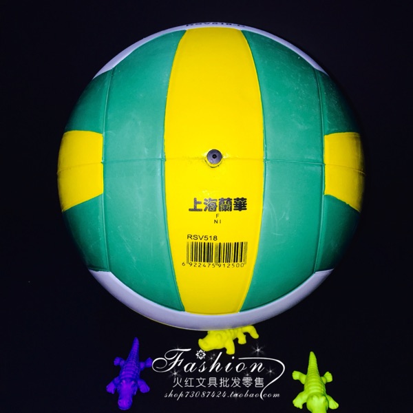 Ballon de volley - Ref 2012133 Image 6