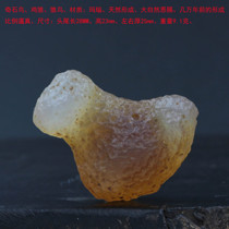 The strange stone bird the chick the natural formation ratio is realistic the gift of nature.