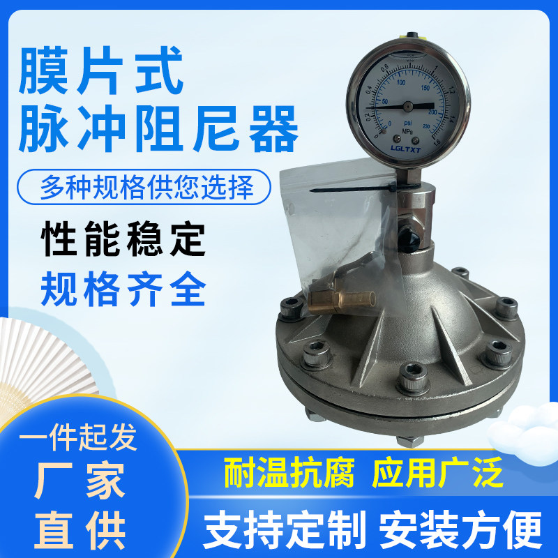 Stainless Steel Flanged Diaphragm Pulse Damper SS304 SS316L Metering Pump Pulse Buffer Tank