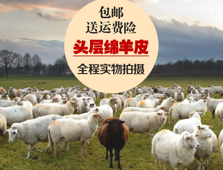 Áo khoác da nam bằng da cừu Áo khoác da cho bố trung niên mùa xuân và mùa thu
