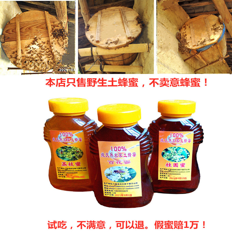 Guangdong longan honey guiyuan honey (lychee honey Hundred flowers nectar) pure natural farmhouse self-produced native bee original honey