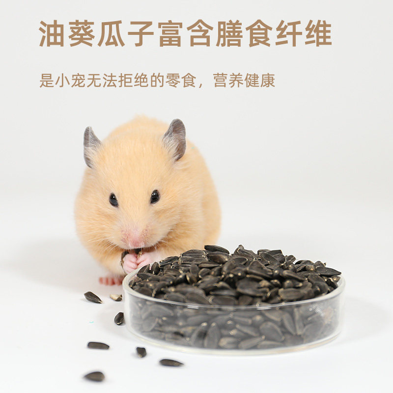 Hamster baby food supplies golden bear cub staple food feed small black raw melon seed oil sunflower seed molar snacks