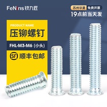 Galvanized small head riveting screw Round head screw bolt FHL-M3M4M5M6-6 8 10 12 14 15 18 20