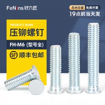 Riveting screw Screw FH-M6*8-9-10-12-14-15-16-18-20-22-25-30-32-35-40