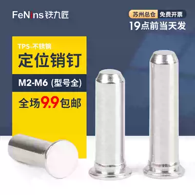 Passivated 304 stainless steel positioning pin hardened press riveting pin cylindrical nail pointing pin TPS-2 3 4 5 6