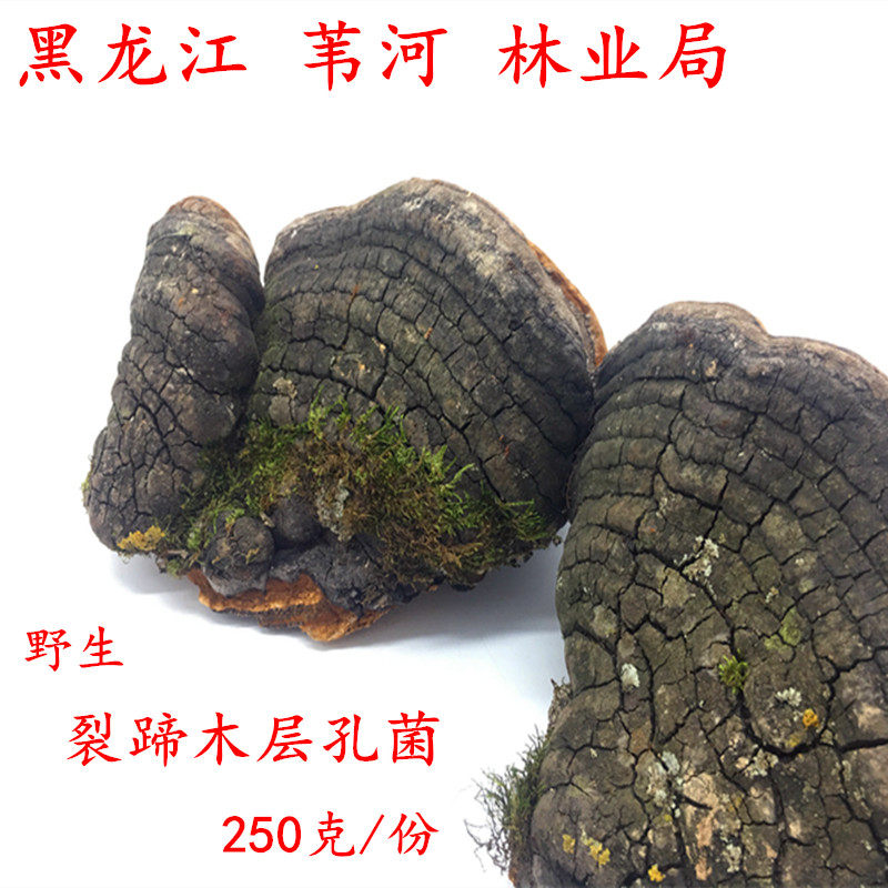 Red meat Layer of Red Meat Layer of Hambacterium in Shanghai wild fracture and dry cargo of 250 grams of fracture - shoe - bacteria