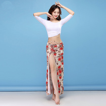 Belly dance costume womens new practice suit Summer Oriental dance dance suit Beginner long dress suit Fairy performance suit