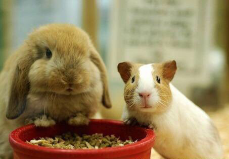 (full RMB28  plus 1 yuan for purchase) only limited purchase one point open selection color classification contact customer service change shipping fee