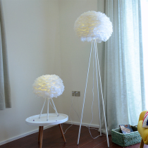 Nordic modern simple living room bedroom study warm bedside feather floor lamp creative fashion white floor lamp