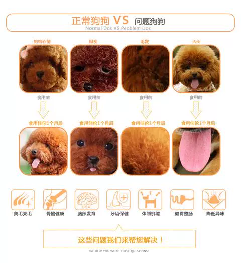 Thức ăn cho chó Teddy Jialun poodle thực phẩm đặc biệt tự nhiên xé rách chó nhỏ thức ăn cho chó trưởng thành 2,5kg - Chó Staples thức ăn cho chó poodle