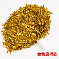 Увеличьте шифрование (2 золотистого золотого цвета)