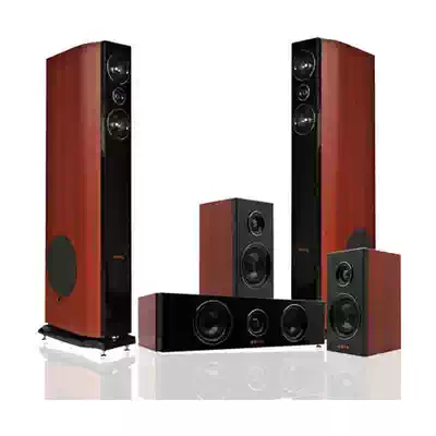 BNTN Wanma galloping home theater California upstart floor-to-ceiling wooden box home audio 5 0 passive box master