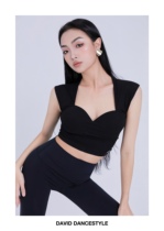 DAVID Dance Wear Womens Latin Dance Split Style Teacher Series Single Product Latin Dance Wear Top Sleeveless