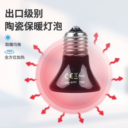 Pet Sinian Parrot Bird Bird Cage Pet Antiscalded Heater Everater Ceramic Birds Products