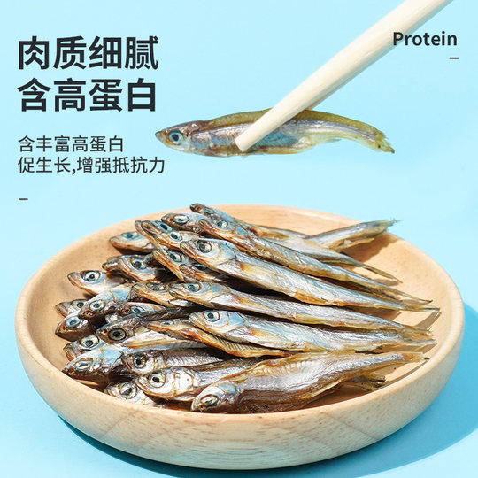 Pet Shangtian Freshwater Fish Dried Turtle Feed Cat Fish Dried Salt-Free Shrimp Dried Turtle Food Turtle Snacks Turtle Food Brazilian Turtle