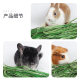 Pet Shangtian 2023 Timothy grass guinea pig feed chinchilla rabbit food hay rabbit pasture guinea pig supplies 1LB