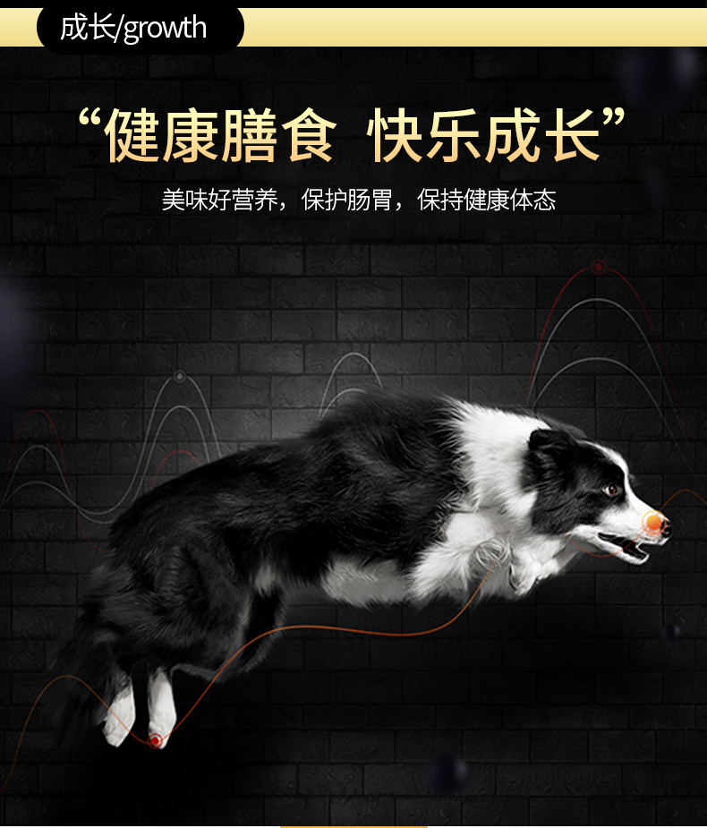 Nhà máy trực tiếp cổ áo Yue pet 20kg thức ăn cho chó công thức canxi cao Jin Mao Satsu thức ăn cho chó trưởng thành - Chó Staples đồ ăn cho chó con