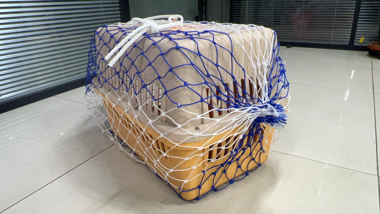 滨州市李庄豪情体育