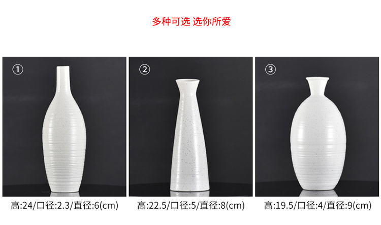 Đơn giản hiện đại bình gốm trang trí Jingdezhen phòng khách Bắc Âu sáng tạo trang trí nhà nhỏ nước văn hóa cắm hoa - Vase / Bồn hoa & Kệ giỏ treo hoa