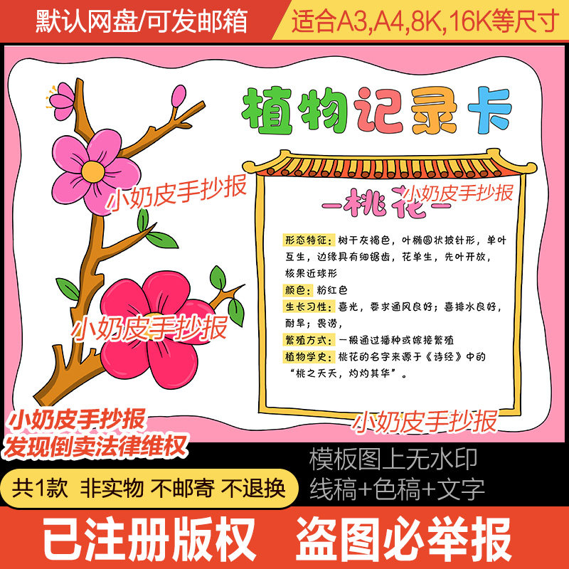 桃花植物记录卡手抄报自然笔记小报模板电子版简笔画黑白线稿涂色