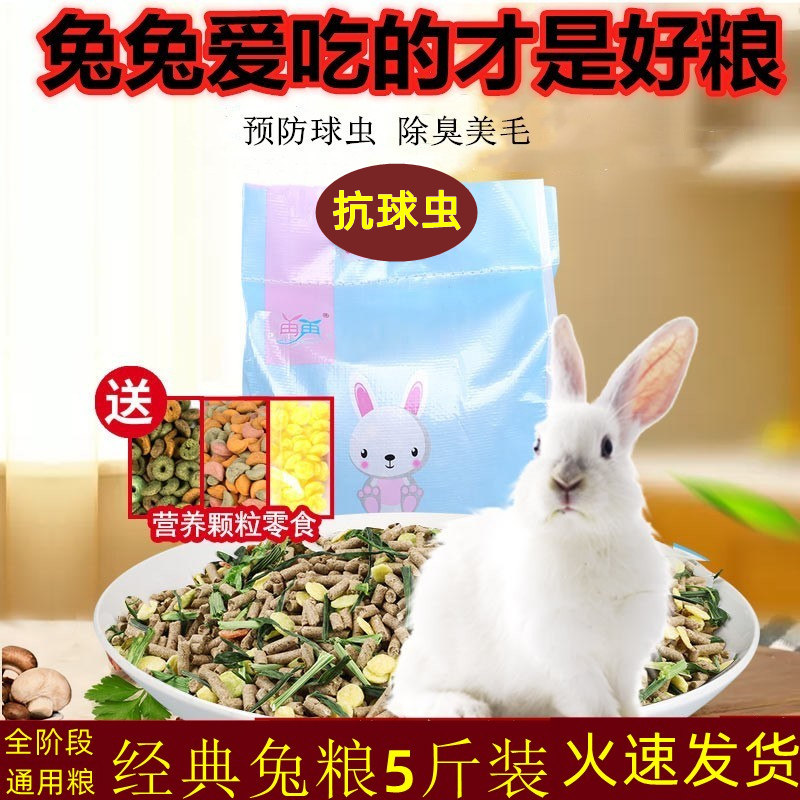 20 Rabbit grain 5 catty young adult rabbit 10 Pets Rabbit food Dutch pig guinea pig feed grain large bag ti Moshe grass