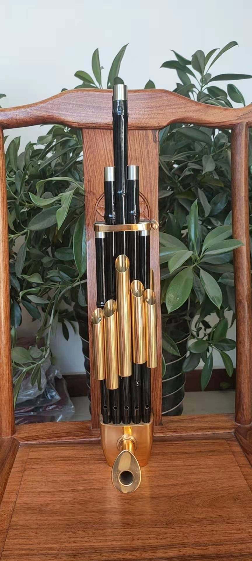 Zizhu Sheng Musical Instrument Professional Beginner 14 Reed Square Sheng 17 Reed 21 Reed Round Sheng Descend E Lower BCD Tone Amplified Sheng
