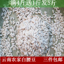 Yunnan specialty farmers small white beans white kidney beans white kidney beans soup whole grains 500g 3 pieces