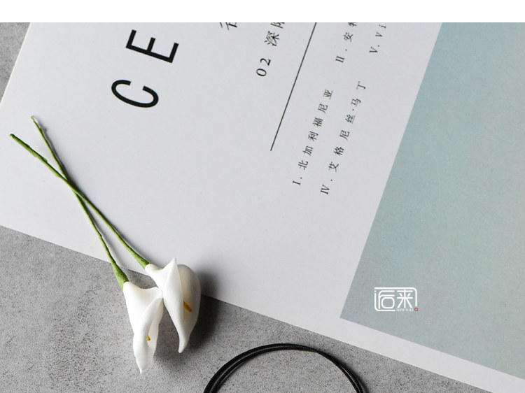 Chaine de cheville Femme OTHER   en Argenterie - Ref 3101481 Image 10