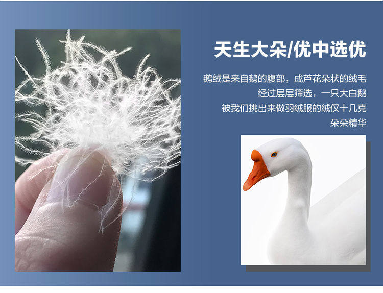 Blouson homme GIORDANO    en Polyester - Ref 3122553 Image 19