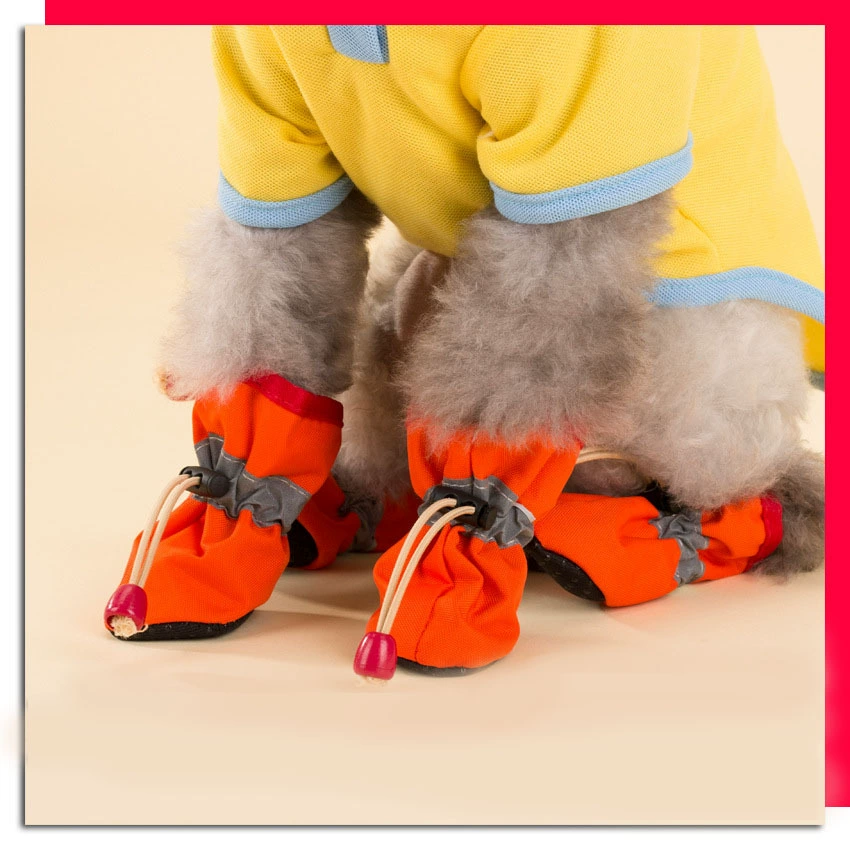 Thú cưng giày đế mềm trong nhà chó con khởi động chó chống bẩn chân che Teddy luật chiến đấu Corgi cáo bạc Pomeranian Bichon - Kính khung