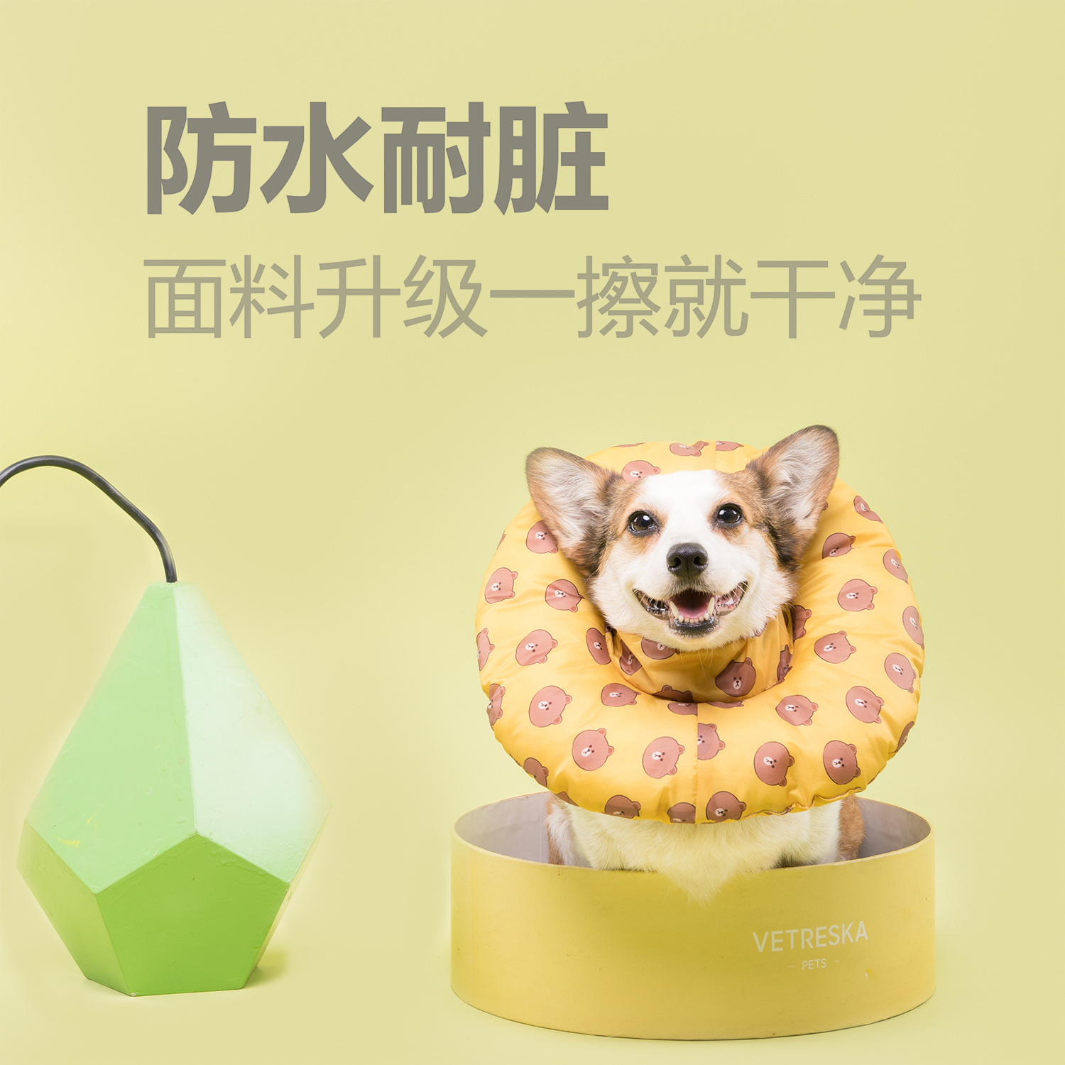 Short leg captain Pets Elizabeth Snare Dogs Kitty neck hair Circle Kicka Fou Teddy dog border Shepherd dog