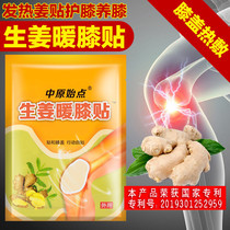 Central Plains Instigation Ginger Knee Patch Aiba Knee Warm Fever Patch Joint Pain Patch Moxibustion Stickup Moxa Stick