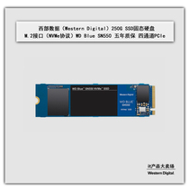 WD Western Data SN550 250G 500G 1T Blue Disk SSD Solid State Disk M 2 Interface NVME