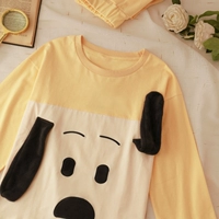 T8489-Milk Yellow Big Ear Dog