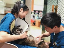 Feng Sheng - - - - Nirvana rebirth needs you my love(not for sale)