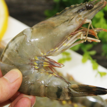 Prawn grass shrimp Fresh live frozen aquatic seafood seafood New Year gift package Da Ming prawn prawn bamboo shrimp