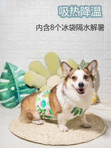 Коротко -летняя собака летнее охлаждение прохладное холодное пальто