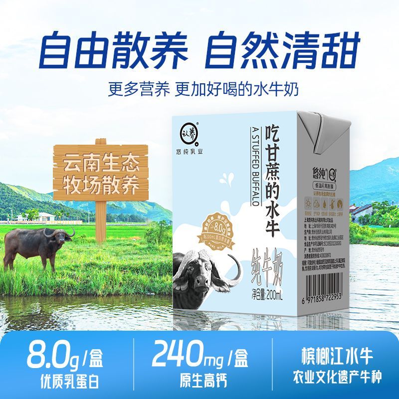 Adopted Buffalo Milk 200ml*10 Boxes for Children and Adults, Nutritious Full-Fat Buffalo Pure Milk, Nutritious Sugarcane Buffalo Milk Adopted Buffalo Milk 200ml*10 Boxes for Children and Adults, Nutritious Full-Fat Buffalo Pure Milk, Nutritious Sugarcane Buffalo Milk