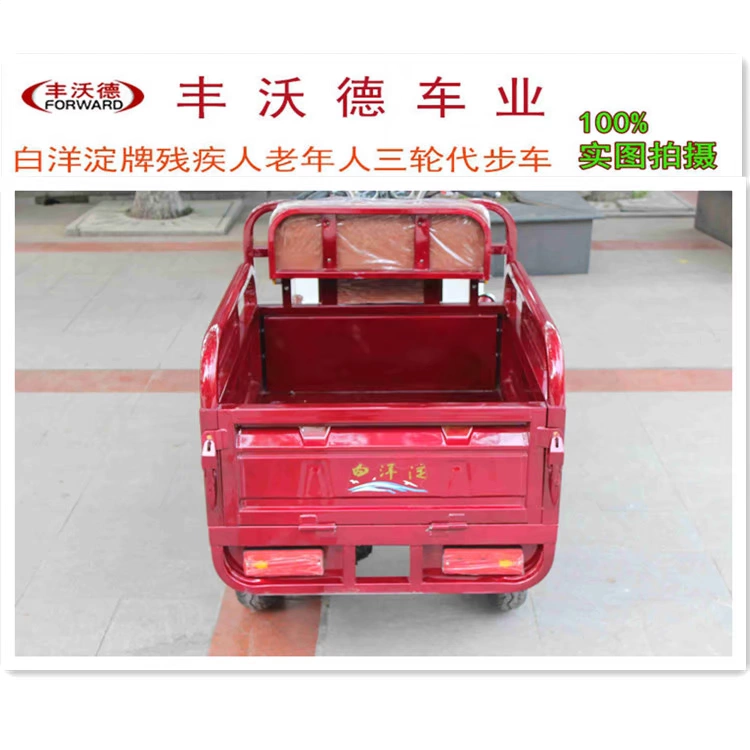 Baiyangdian 110 xe tải nhỏ ba bánh xe tàn tật xe máy di động xe lăn người già giải trí tàn tật xe tay ga - mortorcycles