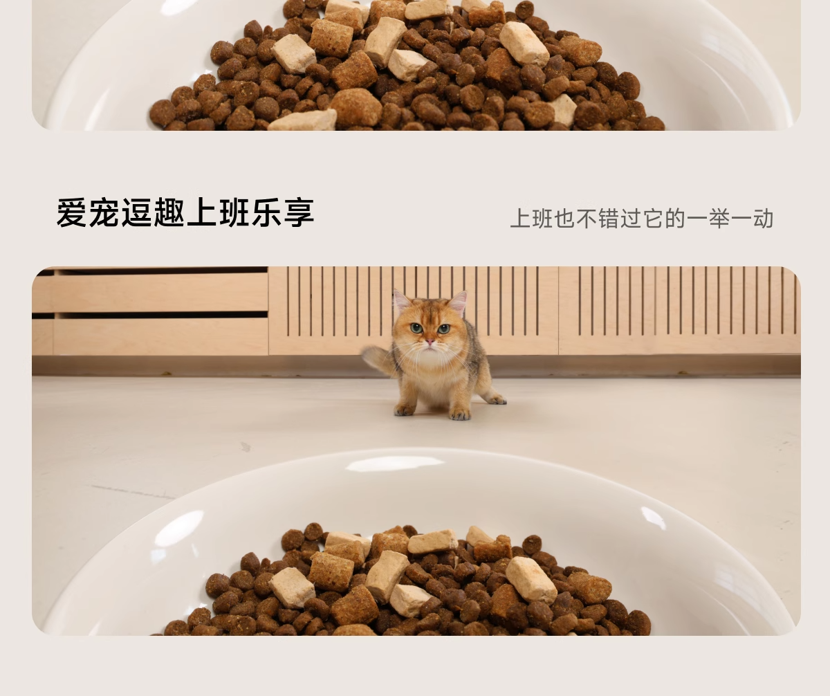 Кормушка с дозатором для кошек и собак meoof觅凹蛋卷自动喂食器猫咪狗狗定时定量自助喂食器摄像头可视