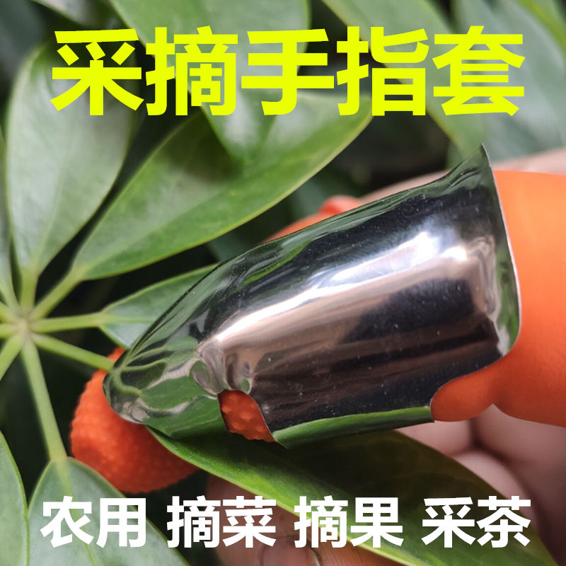 Plucking pepper gloves multifunction finger guard finger guard iron nail finger head protective sleeve thumb sleeve stainless steel extraction