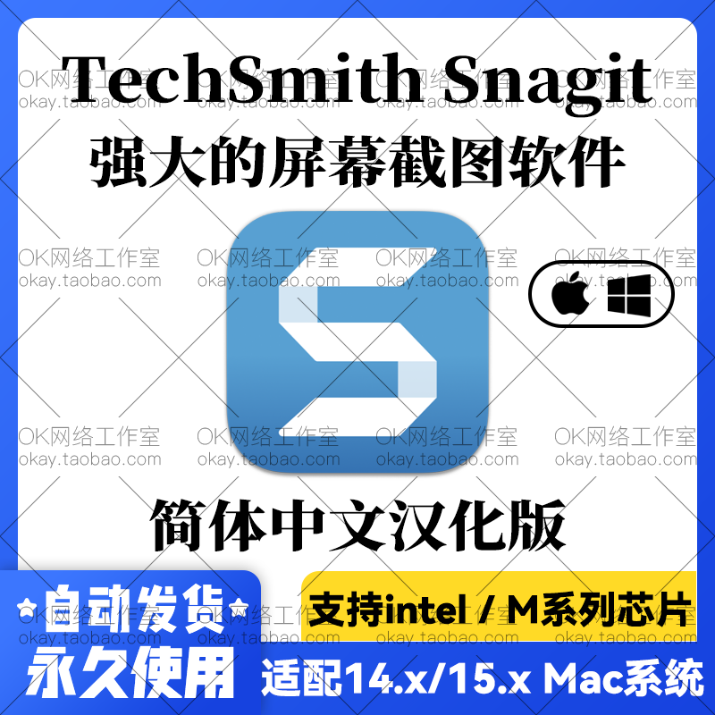 Techsmith Snagit 2026 Computer Screenshot Annotation and Screen Recording Tool Chinese Version Win+Mac Techsmith Snagit 2026 Computer Screenshot Annotation and Screen Recording Tool Chinese Version Win+Mac
