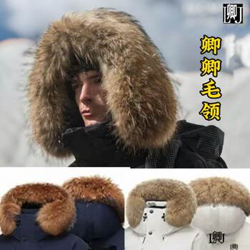 Extra large raccoon fur real fur collar sold individually